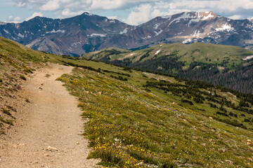 Looking down the Ute Trail, as it traverses over the alpine tundra within Rocky Mountain National Park, Colorado on a partially cloudy morning in late July, high above the treeline