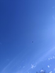 Satter Blauer Sommer Himmel mit Kondensstreifen