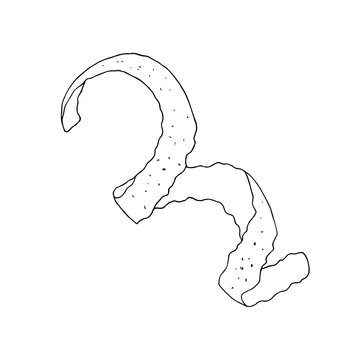 recommend clip art: Black and white silhouette of orange, lemon, lime, grapefruit fruit peel. Monochrome outline drawing of citrus zest engraving. Vector hand drawn illustration. Clip art for coloring, design, cards