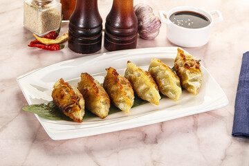 Fried Japanese stuffed dumplings - Gyoza