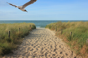 Ostsee Dünenaufgang zum Strand