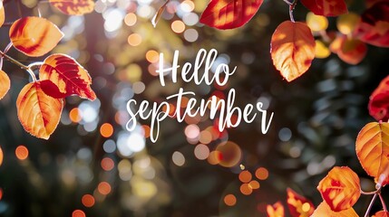  autumn leaves background. Text hello September on blurred background