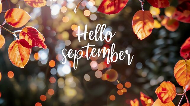 autumn leaves background. Text hello September on blurred background