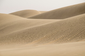 Khuri sand dunes, Thar Desert, Patterned waves, near Jaisalmer, Rajasthan, India, Asia.