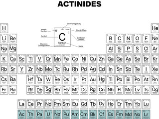 Actinides in the Periodic Table Of Elements Correct Sequence Of Elements | High Resolution, Uniform Style, Isolated On Transparent Background