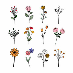 set of different birth flower bouquet wildflower vector illustrator