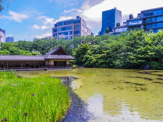 Obraz premium 【東京都】六本木・檜町公園