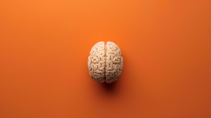 The mysteries of the brain, exploring its creativity