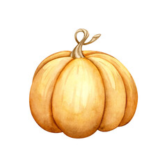 Watercolor painting of pumpkin isolated on white background, pumpkin harvest, clipart drawing single isolated element. Autumn harvest, melon crop..