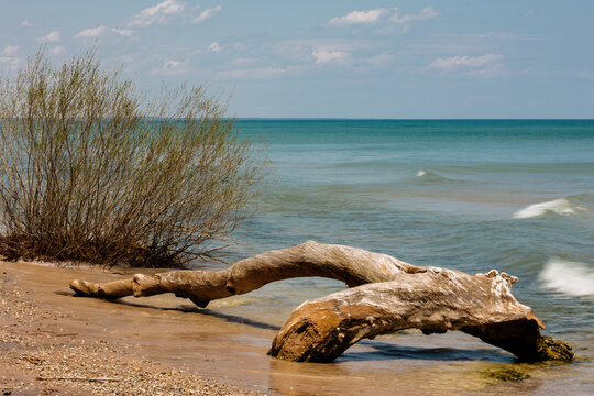 Large section of driftwood rests along the sandy beach at Harrington Beach State Park, Belgium, Wisconsin in mid May