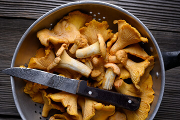Metal colander filled with chanterelle mushrooms on a wooden table with knife. Food photography © Ivan Kmit