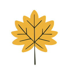 Yellow autumn maple leaves isolated on the white, flat style, vector illustration.