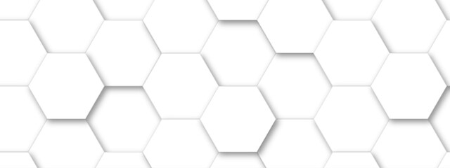 Vector technology background with hexagon concept design. Embossed Hexagon , honeycomb white shadow. Luxury White 3D futuristic honeycomb mosaic white background.