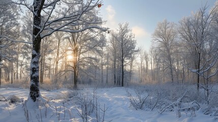 Fototapeta premium Bare winter scene panorama