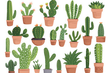 Set of Green cactus plants, brown pots with flower illustration on transparent background