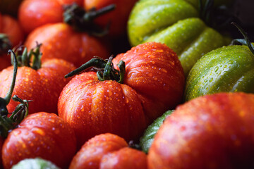 Close up of ripe organic tomatoes with water drops. Food photography