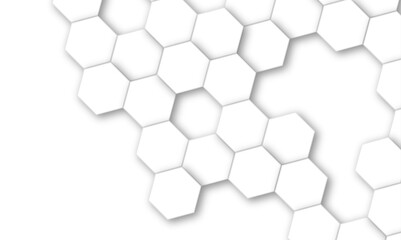 Abstract white and gray hexagon technology lines background. Abstract white and grey color hexagonal geometric background with copy space. Abstract white lines background.