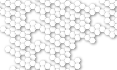 Abstract white and gray hexagon technology lines background. Abstract white and grey color hexagonal geometric background with copy space. Abstract white lines background.