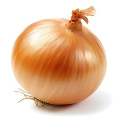a close up of an onion on a white background