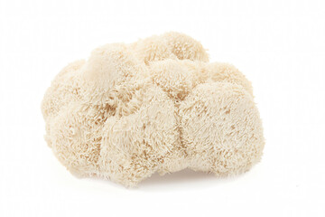 Fresh Lion's Mane mushroom on a white background.