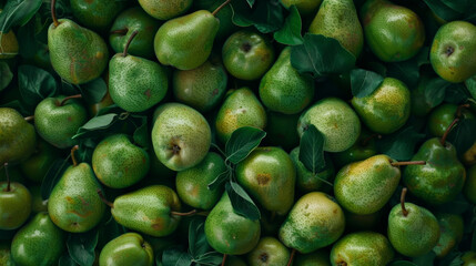 A close-up of a background completely covered with fresh green pears. The rich, juicy fruit creates a visually appealing and mouth-watering display.