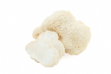 White Lion's Mane Mushroom, showcasing its unique hairy texture and organic form.