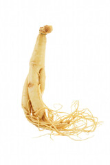 A single ginseng root with white background