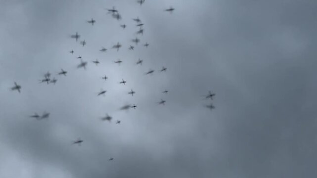 Mosquitoes swarming and dlying in the air against the backdrop of a cloudy sky in the evening. 