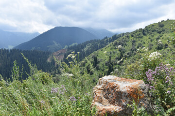 rocky summers mountain landscape