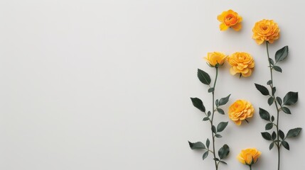 Naklejka premium A beautifully arranged border of yellow roses, creating a delicate and romantic frame around a blank white space. The minimalist design allows for easy customization with text or graphics, ideal for