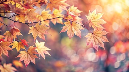 Beautiful Soft Autumn Leaves Background for Creative Projects