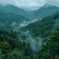 Obraz premium A lush green forest with a river running through it