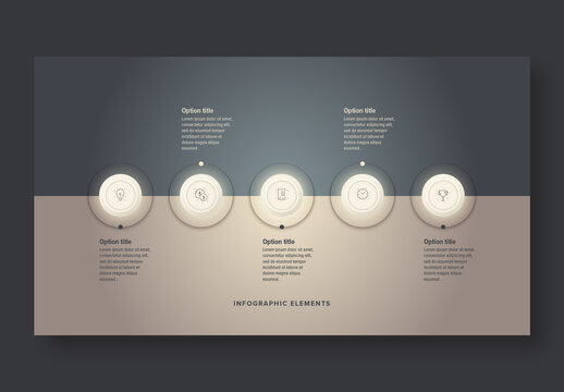 5 Step Workflow Infographic