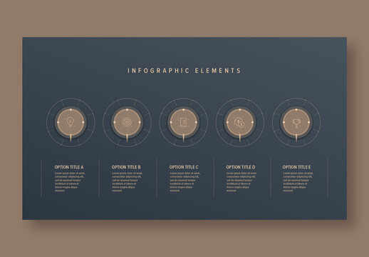 5 Step Workflow Infographic