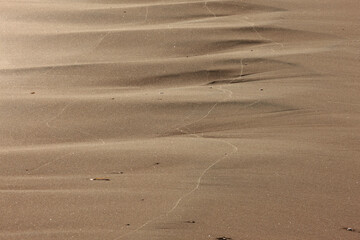 Lake Michigan waves created a series of parallel depressions along the beach in late October at Harrington Beach State Park, Belgium, Wisconsin