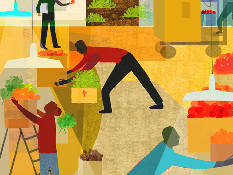 People working producing fresh fruit and vegetables