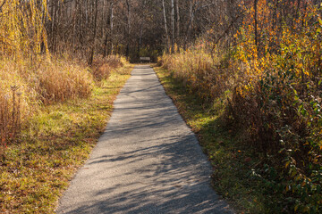 Fototapeta premium A paved handicapped accessible hiking trail through a wooded section within Pike Lake Unit, Kettle Moraine State Forest, Hartford, Wisconsin in early November
