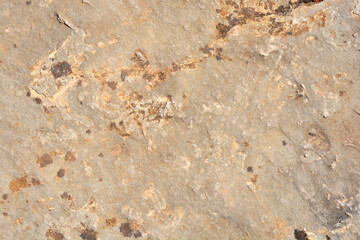 Detail of a stone surface on a sunny day