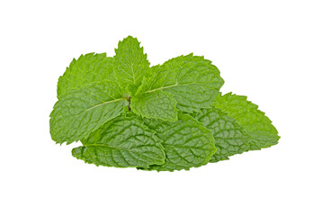 mint leafs isolated on transparent png