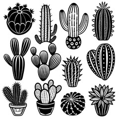 Diverse Set of Cactus Flowers and Cactus Illustrations: Collection of Unique Botanical Designs and Art, set of cactus flowers, set of cactus, cactus illustrations, cactus graphics, cactus art
