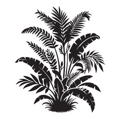 plant vector Interior or indoor tree silhouette