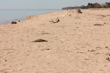 Looking south along the driftwood strewn beach at Kohler-Andrae State Park, Sheboygan, Wisconsin on a sunny May morning