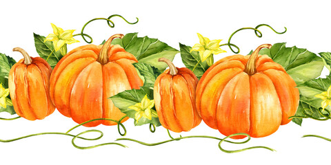 watercolor seamless border with different ripe orange pumpkins with green leaves, stems, yellow flowers, autumn harvest illustration, hand drawn sketch, white background, for Halloween, fall festival