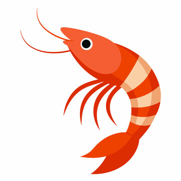 recommend clip art: prawn clip art vector vector illustrator