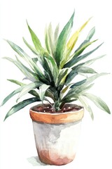 Watercolor Illustration of a Potted Plant