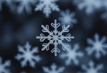 Macro snowflake on dark blurred background. Beautiful natural winter frosty backdrop. Abstract closeup snow crystal. Complex stellar dendrite with octagonal symmetry. For Christmas, New Year