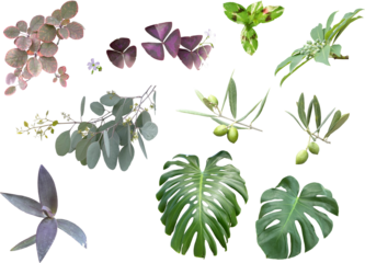 切り抜き透過素材セットーデコレーション用植物15