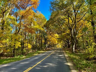 Fall in Midwest with trees turning color