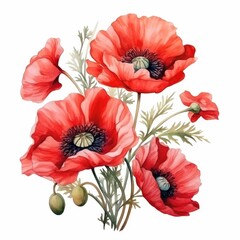 Obraz premium Vibrant Red Poppies Watercolor Illustration