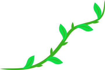 Creeping Leaves Root